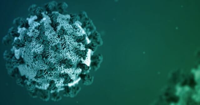 Salud reporta 20 muertes y 1,206 casos de COVID-19